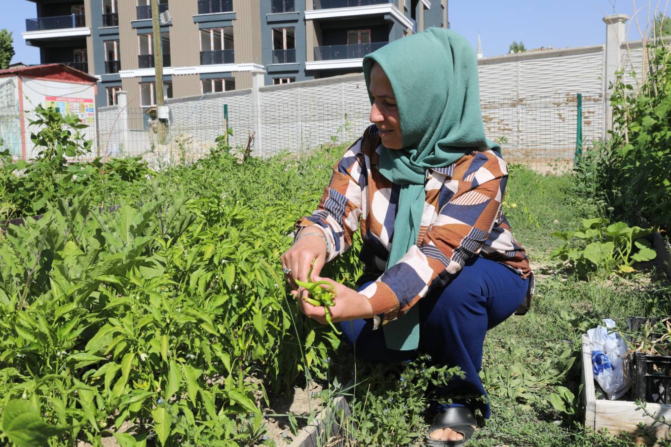 Kadın Kent Bostanı Üretim ve Dayanışma Bahçesi Oldu