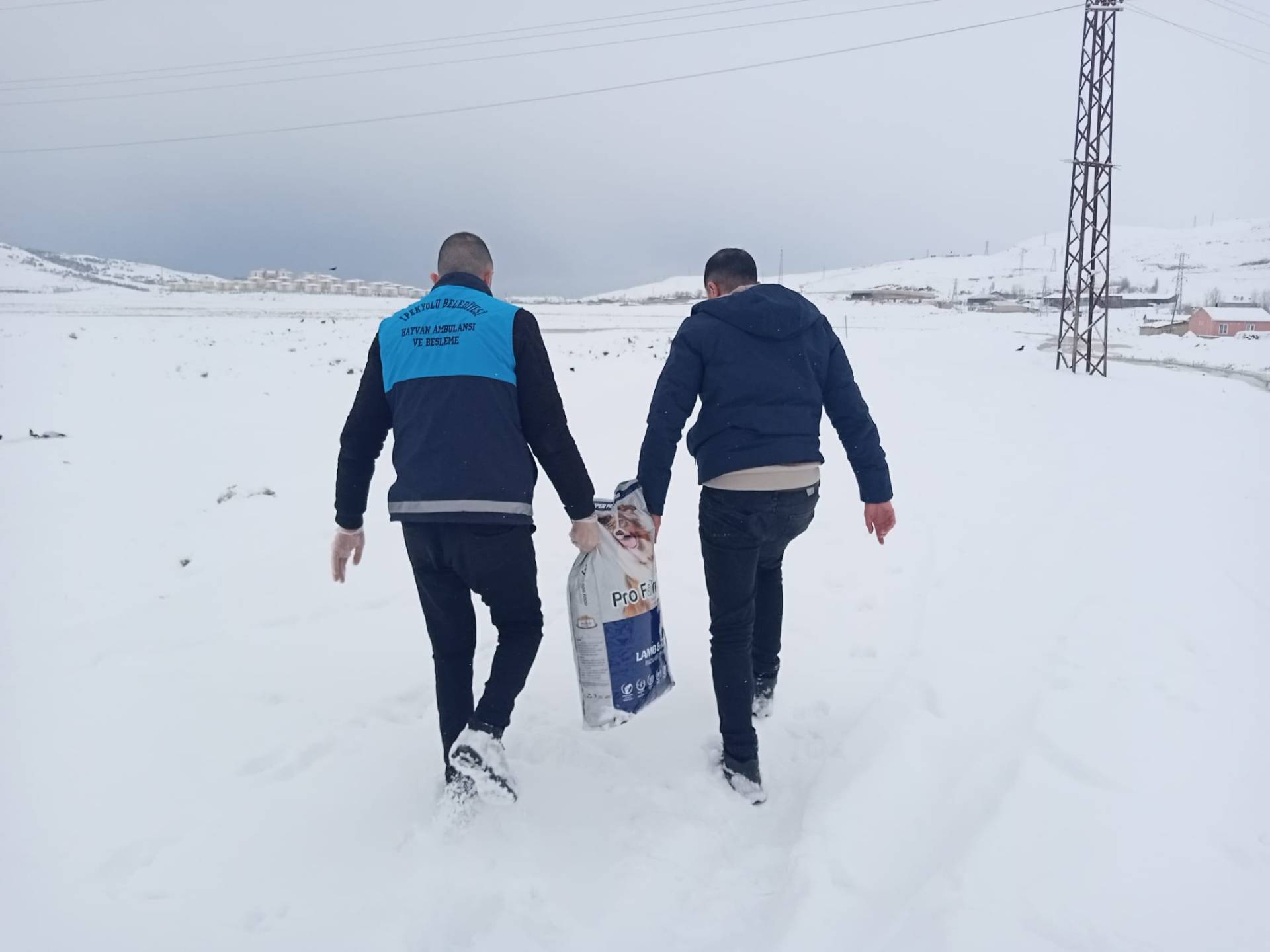 İpekyolu Belediyesi’nden Yaban Hayvanları İçin Besleme Çalışması