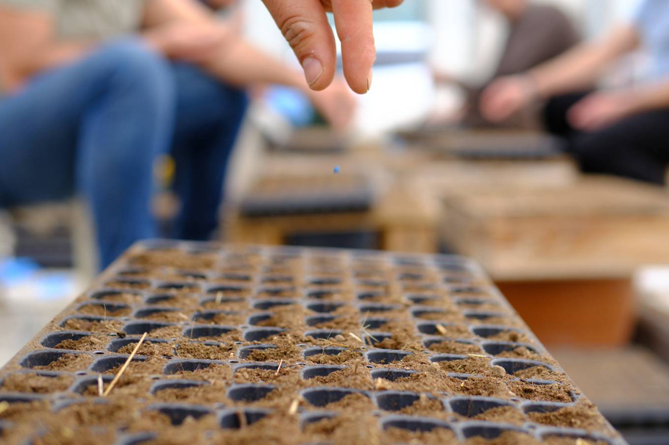 İpekyolu Belediyesi'nden Tarıma Destek: 220 Bin Fide Ücretsiz Dağıtılacak