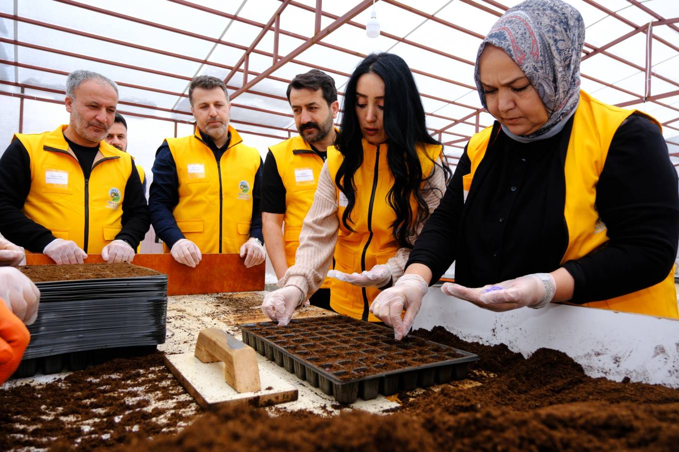 İpekyolu Belediyesi Fide Ekim Çalışmalarına Başladı 