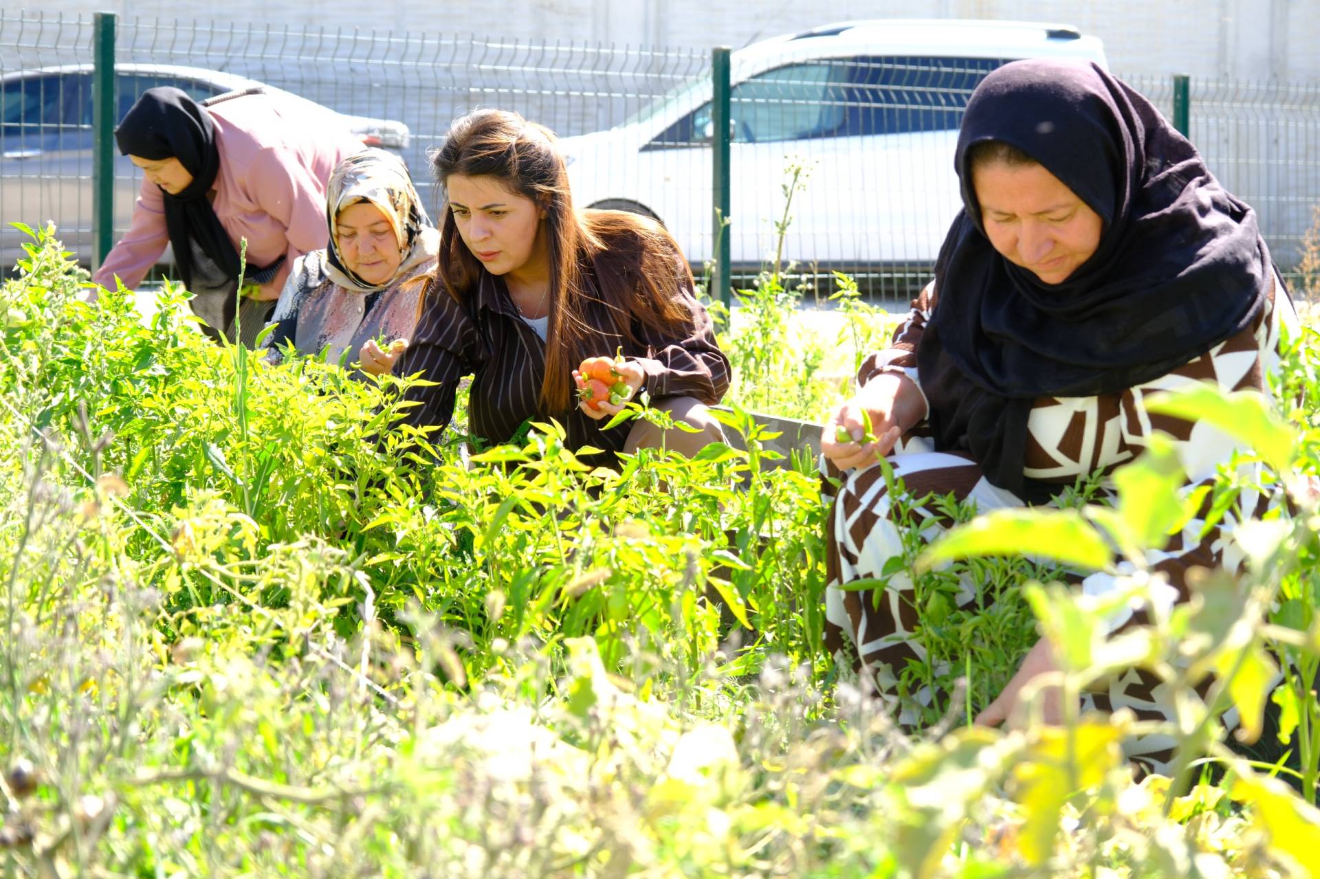 Eşbaşkan Uzunay Kadın Komün Bostanı’nda Kadınlarla Buluştu
